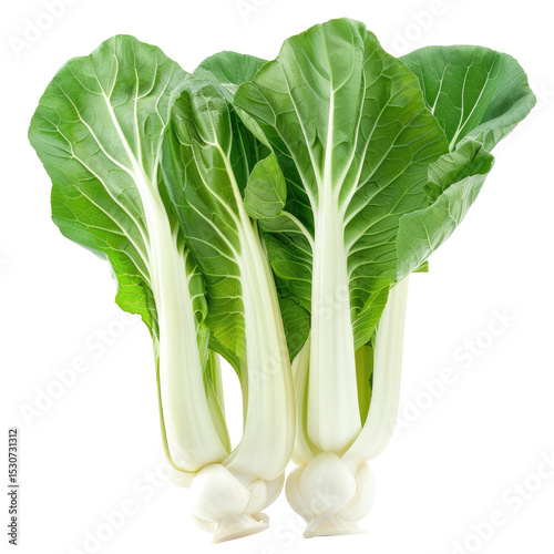 Fresh Bok Choy On White Background, Isolated. Healthy Eating Concept.