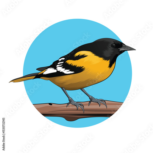 Vibrant Baltimore Oriole Perched on a Branch