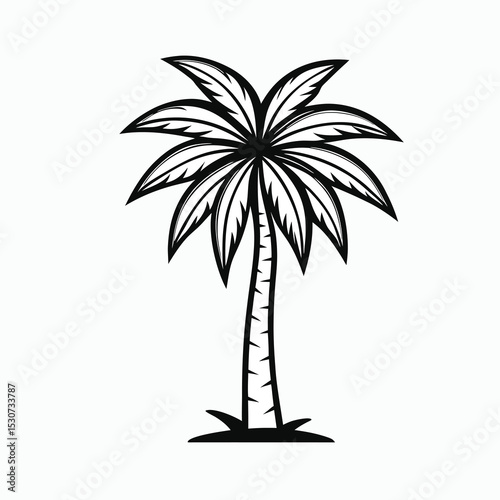 palm tree vector