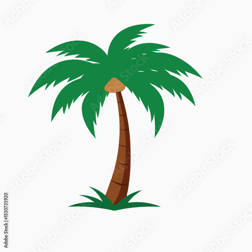 palm tree vector illustration