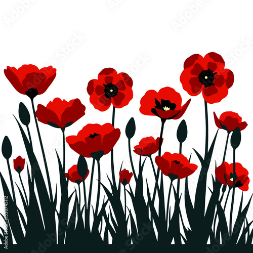 Bold poppy flowers in minimalistic style, evoking remembrance