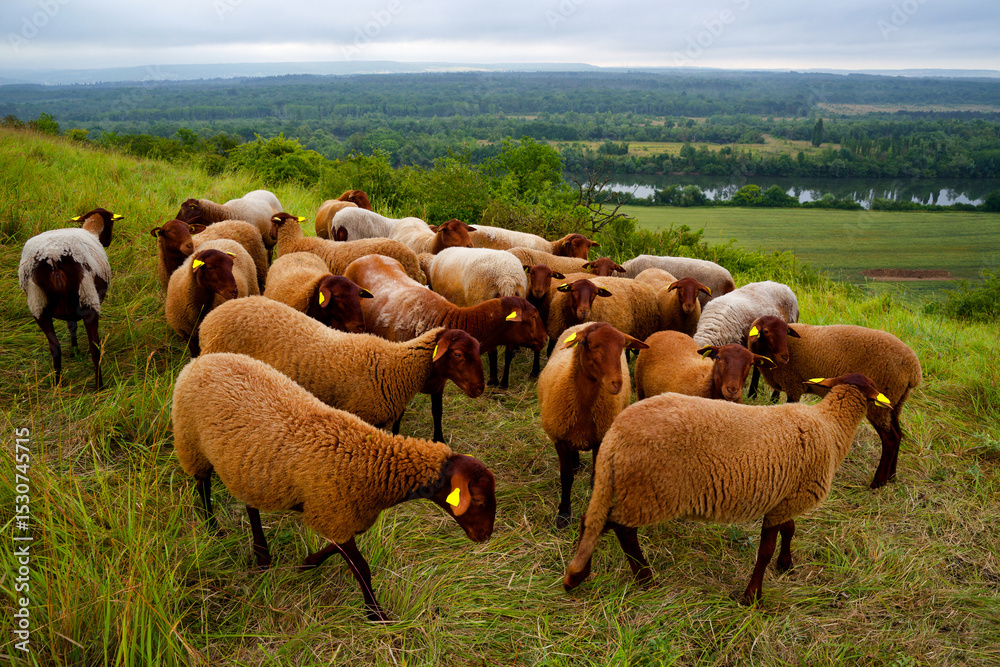 Fototapeta premium National Nature Reserve of the Seine Hillsides in Vexin Français Regional Nature Park