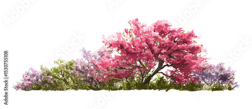 Vector illustration, watercolor blooming flower tree side view, green tree for garden section, forest tree isolated on white background, architecture landscape elements, png.