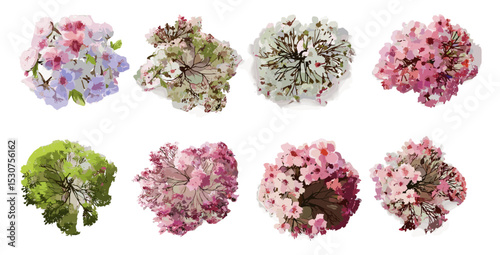Watercolor tree top view in spring, vector illustration, blooming foliage for garden plan, isolated on white, botanical layout for architecture, landscaping element, transparent background.