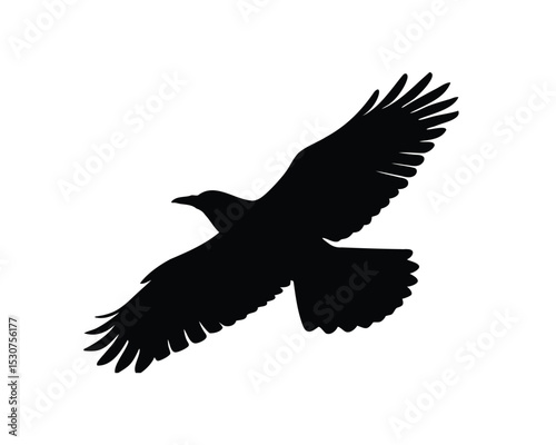Flying bird silhouette with wings fully open,
Vector of a soaring bird with outstretched wings