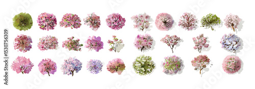 Spring blooming tree top view, vector illustration, watercolor garden design, isolated botanical element for architecture layout, environment concept, foliage plan, png.