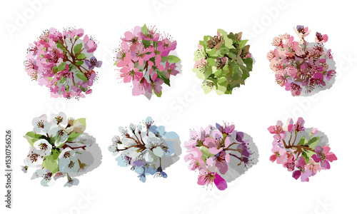 Vector illustration of blooming spring tree top view, watercolor foliage for architecture garden layout, botanical element isolated on white, landscaping detail, cutout.