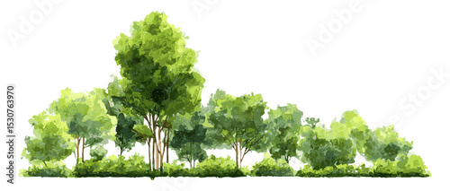 Vector watercolor green tree side view, forest shrub isolated on white background for garden and architecture landscape, nature scene, vector illustration, cutout, foliage drawing.
