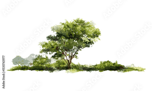 Vector watercolor green tree side view, forest shrub isolated on white background for garden and architecture landscape, nature scene, vector illustration, cutout, foliage drawing.