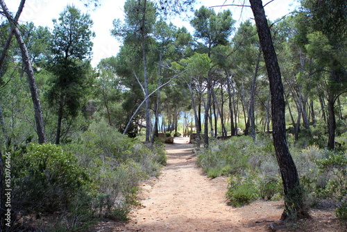 Camp de Mar Malloca Landschaft , Südwesten von Mallorca Balearen Insel Spanien