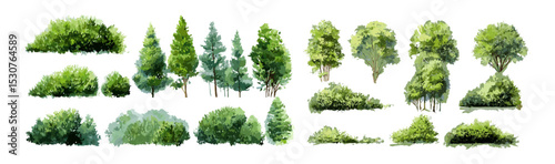 Green tree vector illustration, watercolor forest side view, shrub on white, landscape element, garden foliage for architectural design, natural environment background, plant.