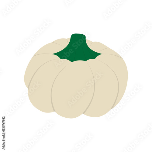 Hand Drawn White Pumpkin with green stem Autumn Celebration Fruit Sticker Icon Design element idea