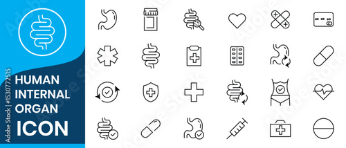 Human Internal Organs icon. Organ, Respiratory Health, Urinary Health, Inner Vitality, Organ Wellness, Immune Health, Digestive System, Digestive Health, Respiratory System, Body Vitality.