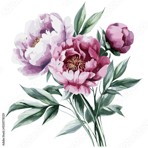 Peonies bouquet watercolor illustration, greeting card for wedding or birthday, floral summer background, elegant flower design, celebration card, vector illustration.