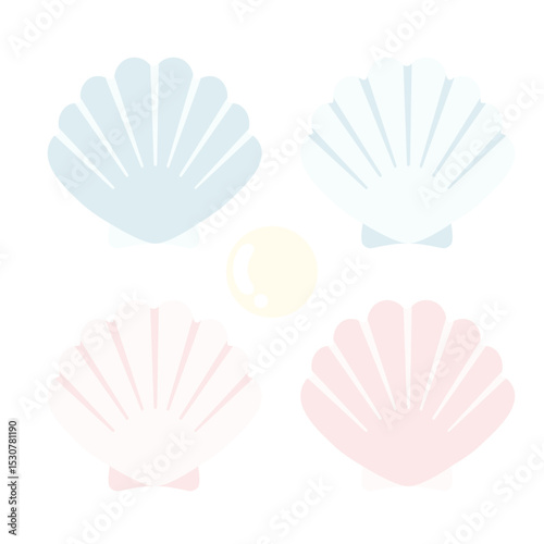 clam illustration