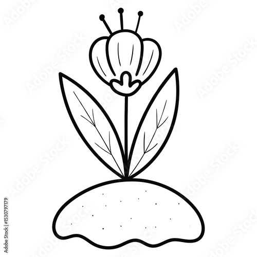 Hand drawn doodle growing flower on white background.