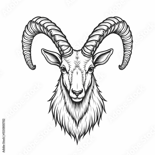 Single vector icon in black and white of a markhor head with twisted spiral horns in symmetrical pose, minimalist line art, mountain goat species, no background