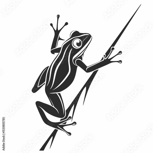 Detailed black and white frog artfully grips a slender reedlike stalk gracefully