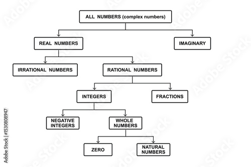 Complex, Rational and Irrational Numbers. Education. Science. School. Vector illustration.