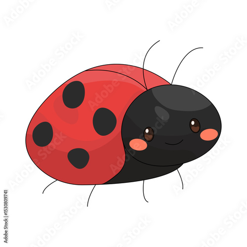 Illustration of ladybug