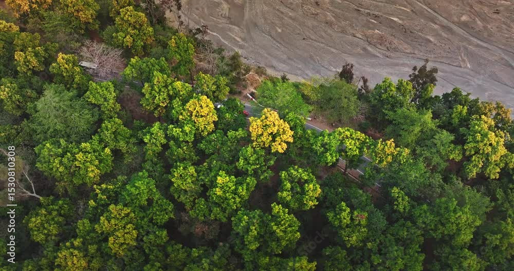 Epic Hill Chain Scenery Covered by Lush Green Jungle. Highway goes through Rajaji National Park, Dehradun-Rishikesh Road. A concept of nature conservation. Vibrant green forest with an asphalt road. 
