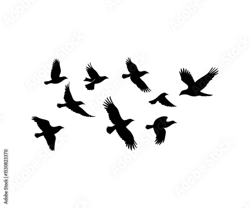 Freedom and Nature Bird Silhouettes
