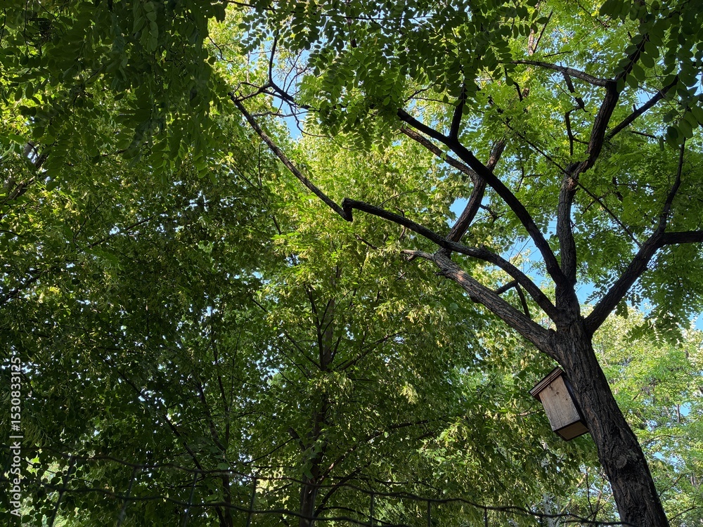 Fototapeta premium A bird feeder hanging on a tree in a park.