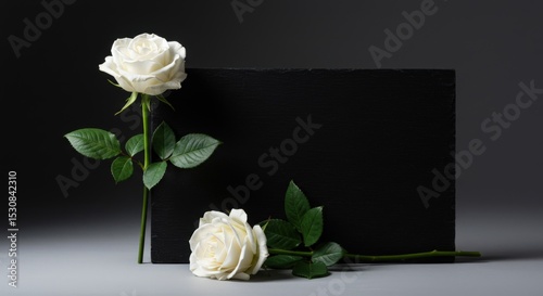 Two white roses are arranged with a black stone slab on a gray surface