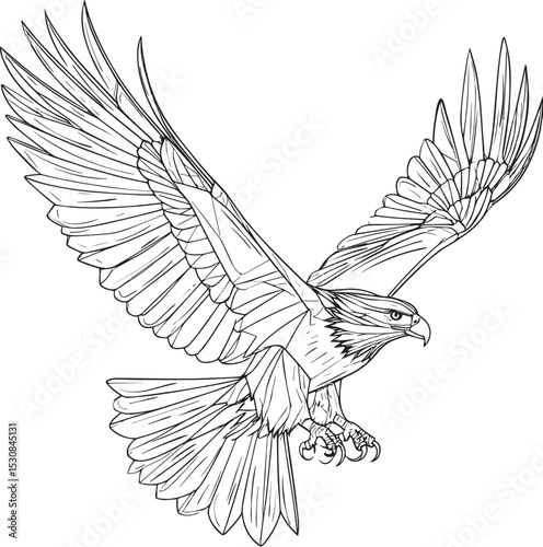 Majestic Eagle in Flight Line Art Illustration