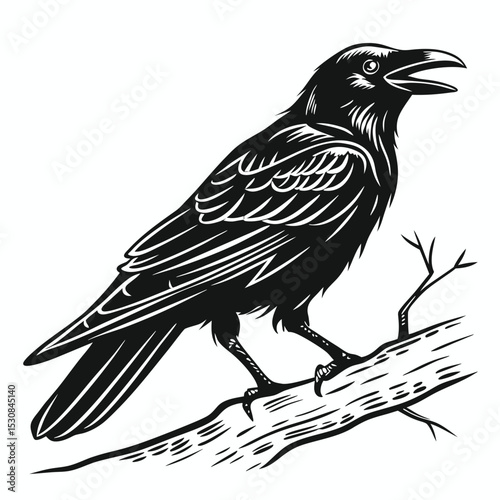 Black crow with open beak is perching gracefully upon a bare branch of a tree