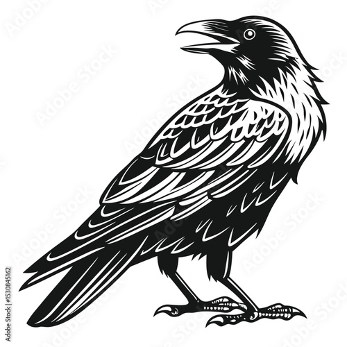Bold raven in silhouette looks upward with an open beak, standing alert