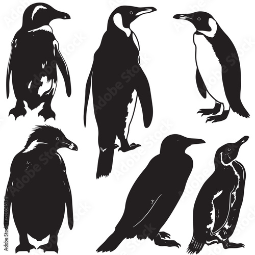 penguin bird animal silhouette cartoon , black silhouettes isolated on white background