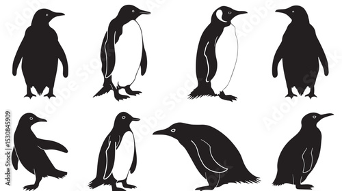 penguin bird animal silhouette cartoon , black silhouettes isolated on white background