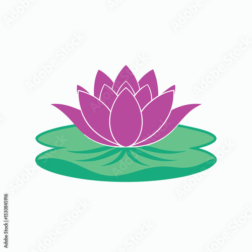 waterlily vector art on white background in Adobe Illustrator Artwork