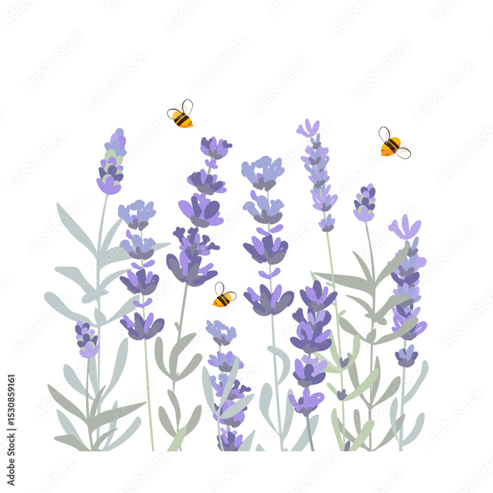 custom made wallpaper toronto digitalLavender flowers and honey bees isolated composition. Hand drawn vector illustration.