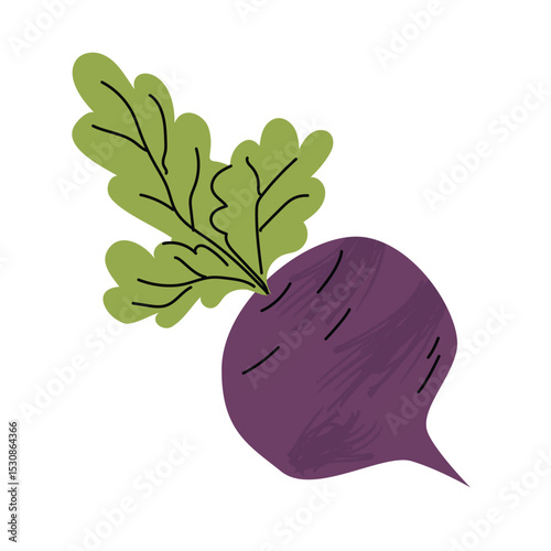 a simple, flat style illustration of a beet with green leaves and a purple root. The style is playful and clean, suitable for use in educational materials, childrens books, gardening guides, or