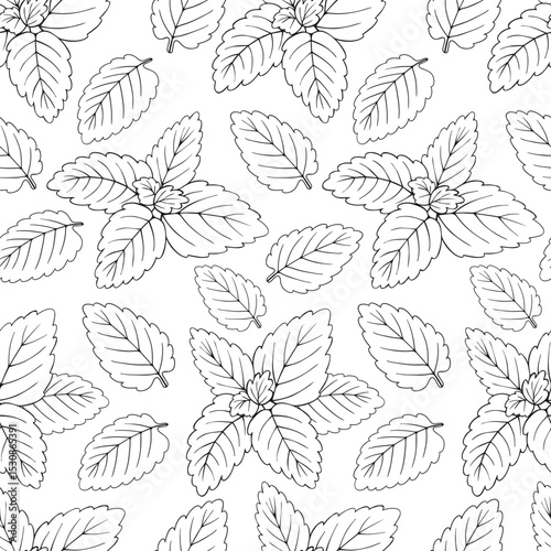 Mint leaves black and white seamless pattern for coloring book and pages scrapbooking textile packaging designs wrapping papers 