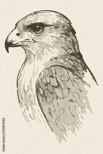 Sketch of a bird eg
