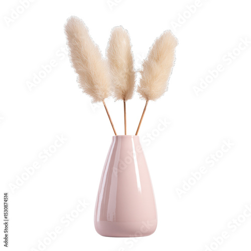 Elegant, sophisticated pink vase with pampas grass branches inside, transparent background
