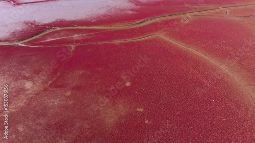 Aerial View of Panjin Red Beach Ecological Wetland with Flowing River
