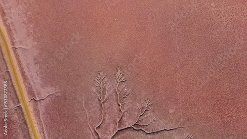 Aerial View of Panjin Red Beach Ecological Wetland with Flowing River