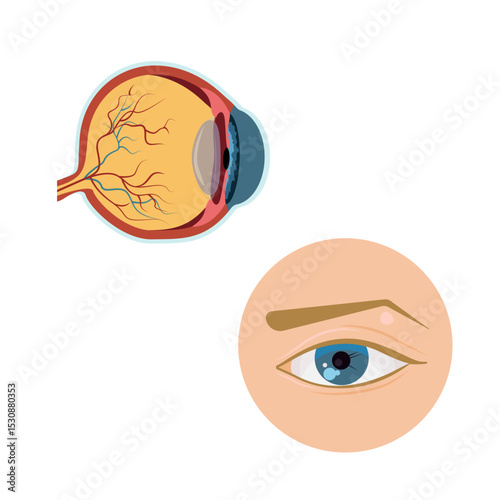 structures eye icon set vector illustration design
