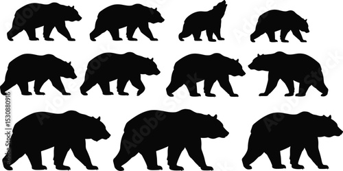 Silhouette set of walking bears, wild animal collection, bear shapes in different poses, black bear clipart, wildlife illustration for design, print, and animation