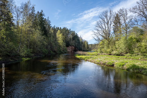 red sandstone cliffs overgrown with forest trees. Salaca river, Latvia