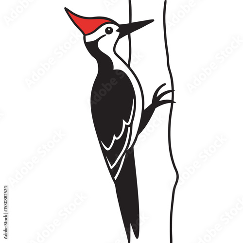 Redheaded Woodpecker Black Silhouette Tree Trunk bird