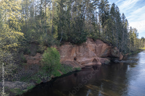 red sandstone cliffs overgrown with forest trees. Salaca river, Latvia