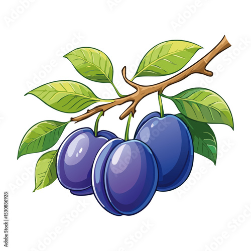 Plums on a branch vector color illustration. Image of ripe fruits on a branch on an isolated background. For design and packaging