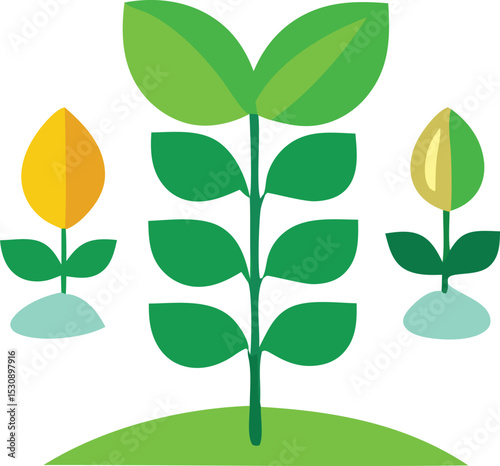 Three stylized plants growing on a green hill showcasing different stages of growth and vibrant colors