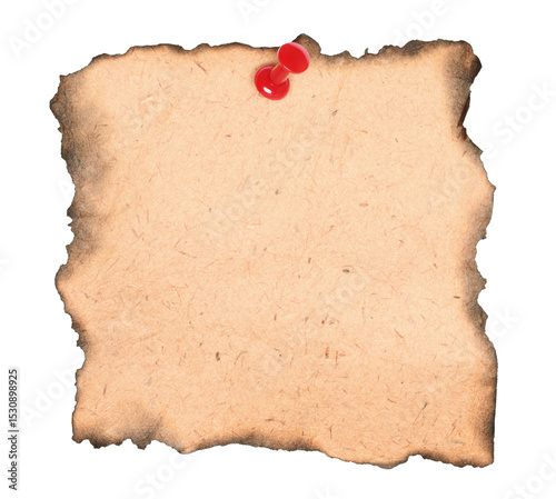 Blank burnt piece of old paper pinned by red pin, isolated on transparent background. Vintage blank paper concept