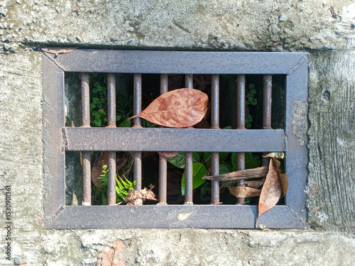 Rusty Metal Drain Cover with Fallen Leaves and Green Plants in Concrete Pavement